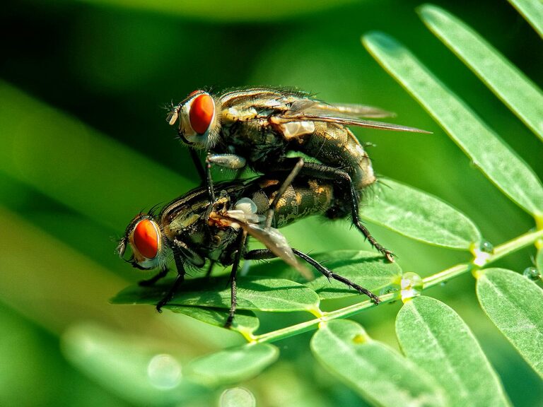 How to Choose a Notebook You’ll Actually Use Every Day